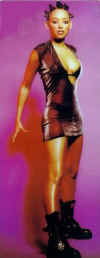 melbdeluxe.jpg (34697 bytes)